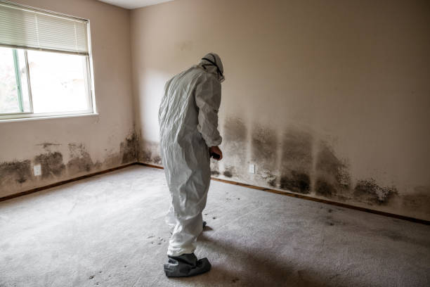 Best Biohazard Mold Removal  in East Foothills, CA